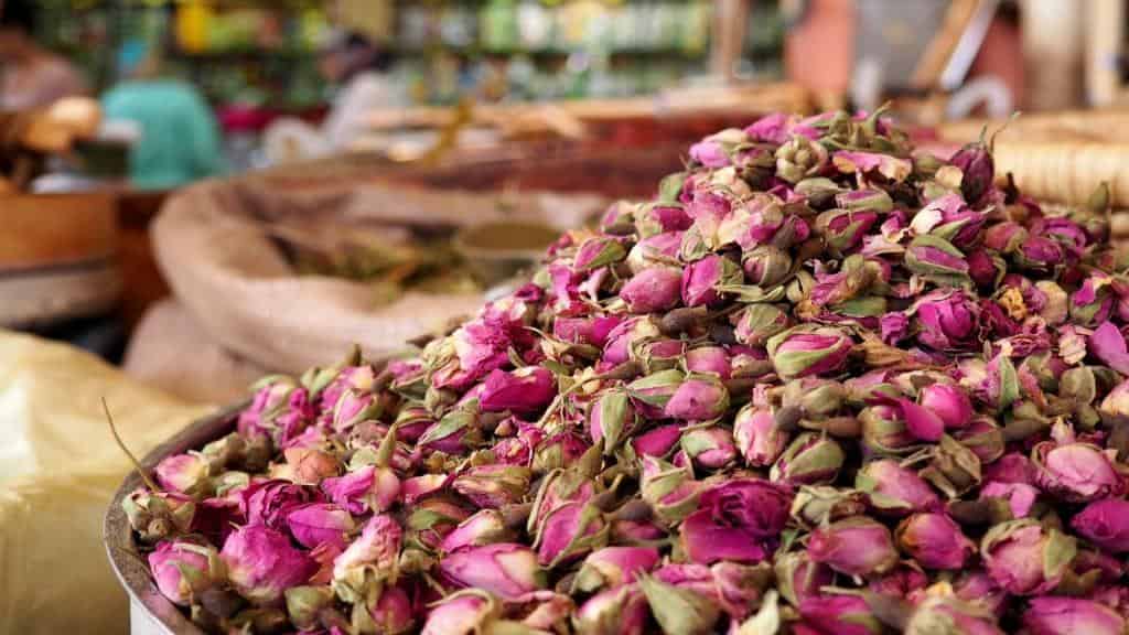 غنچه خوش عطر گل محمدی